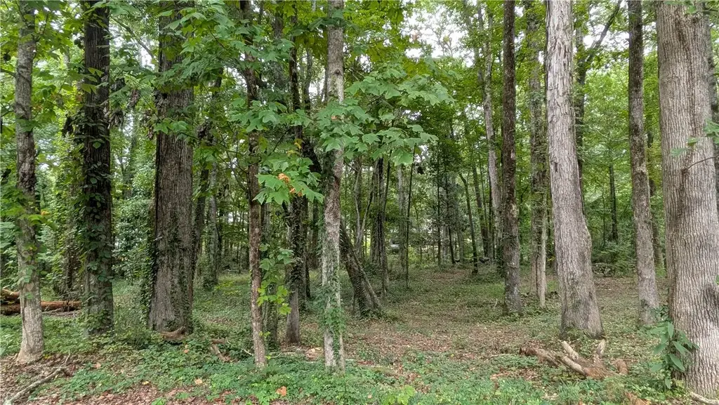 1310 Hickory Ln, Auburn