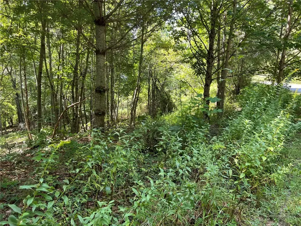 Tbd Abigail Lane, Deep Gap