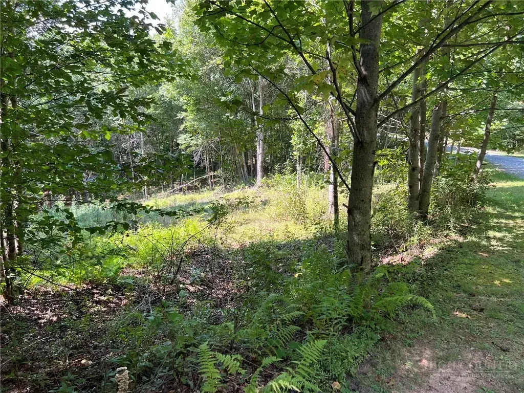 Tbd Abigail Lane, Deep Gap