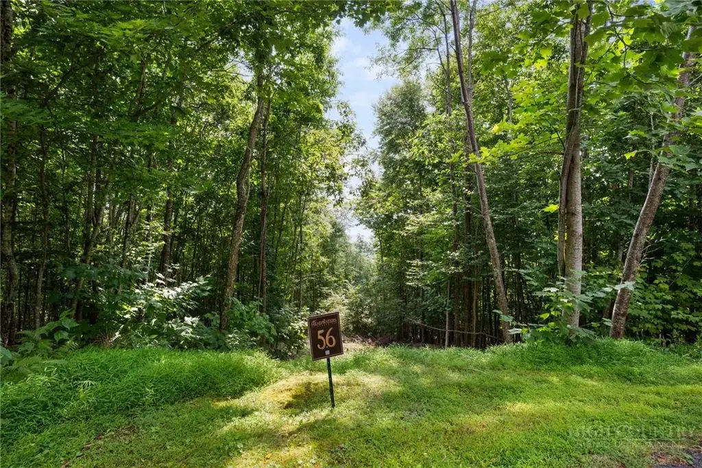 Lot 56 Pinnacle Drive, Elk Park