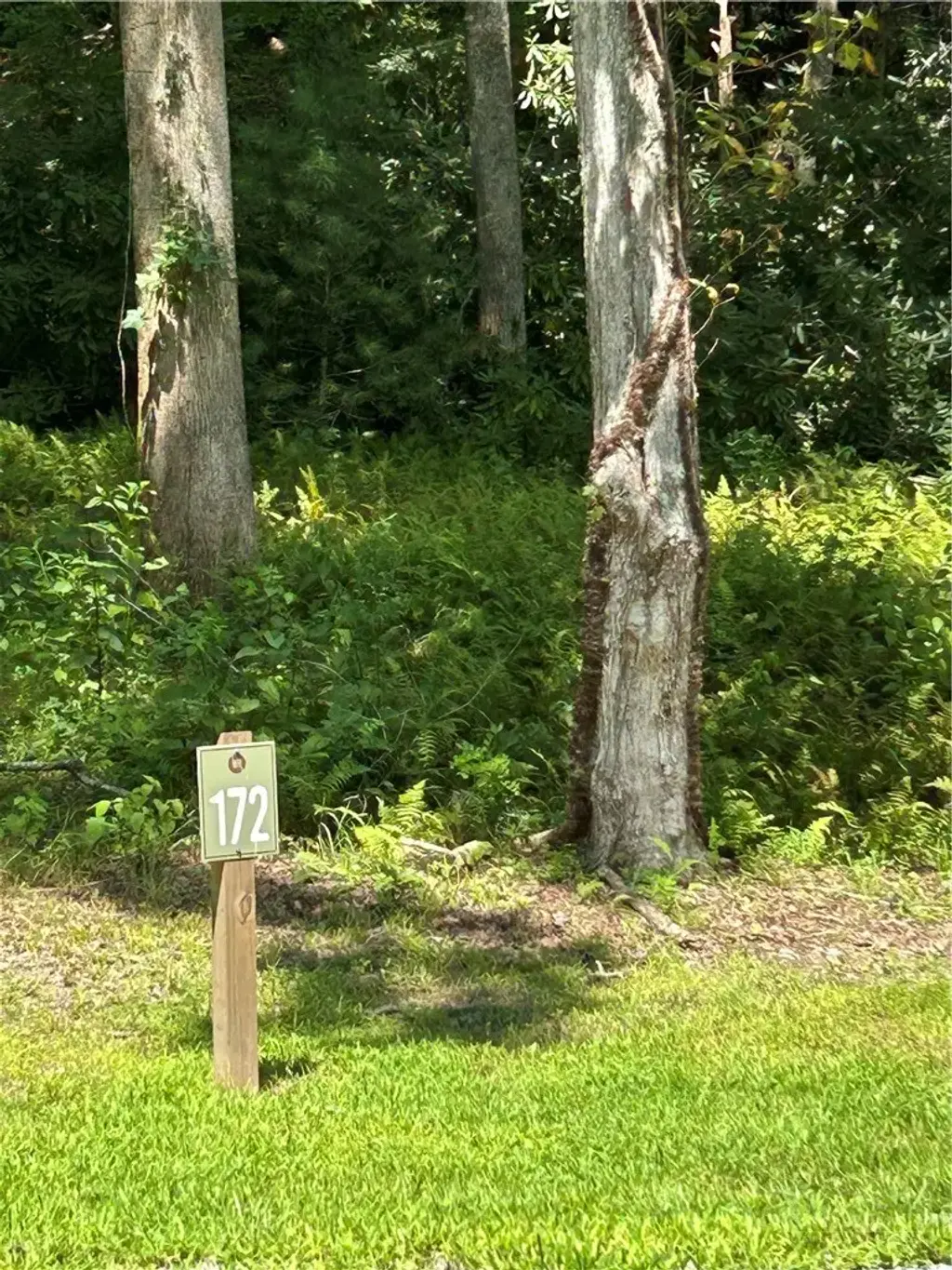 Lot 172 Wilderness Reserve Parkway, Deep Gap