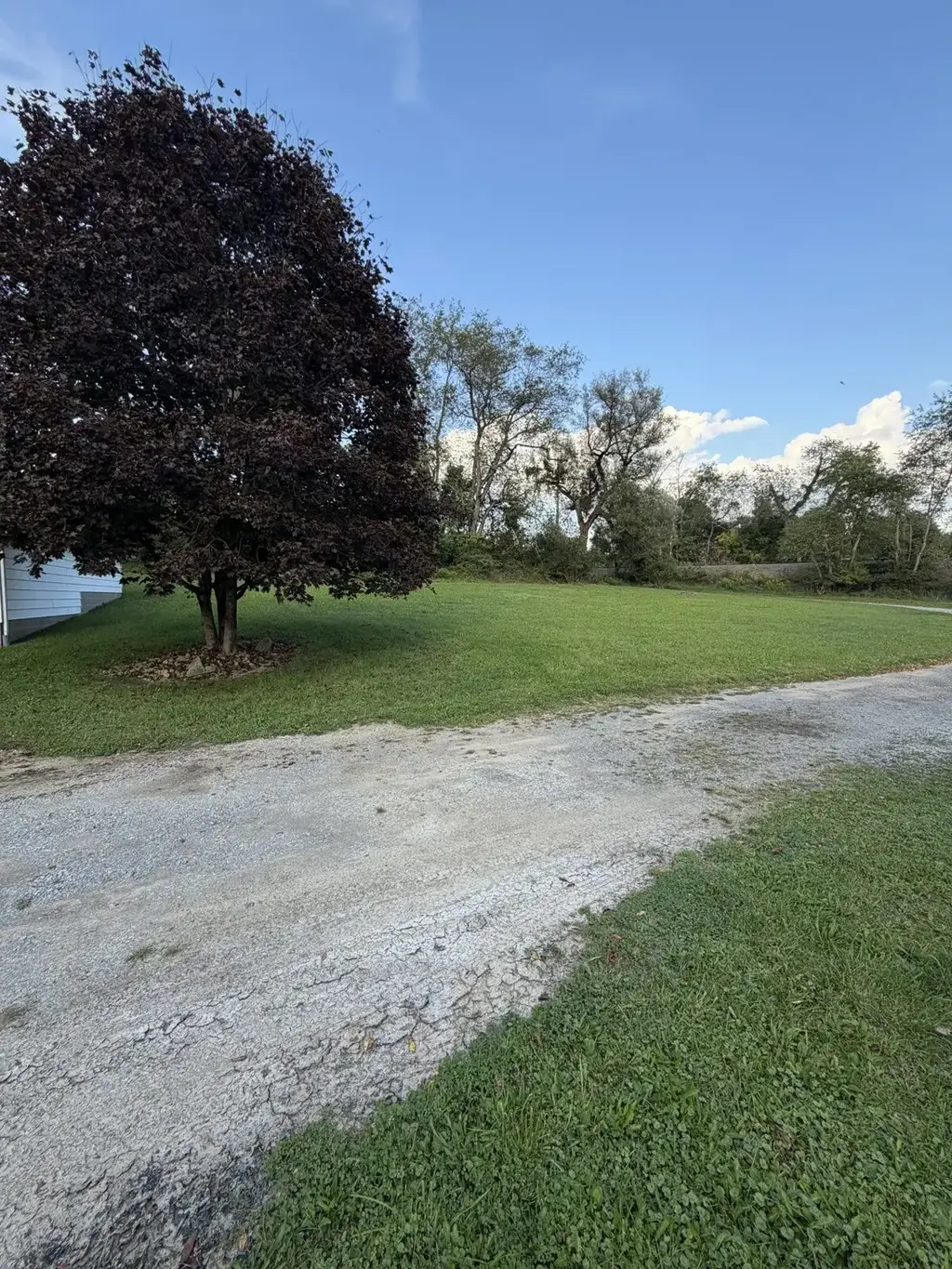 113 Railroad Street, Chicora Boro