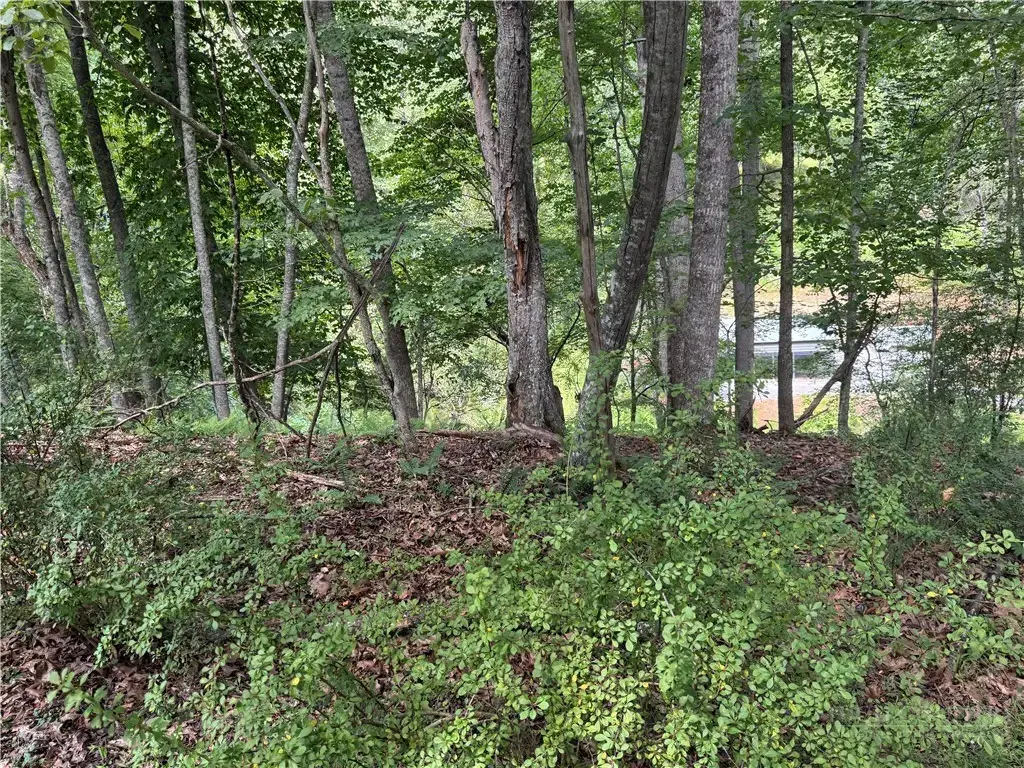 Lot 56 Happy Eden Drive, Piney Creek
