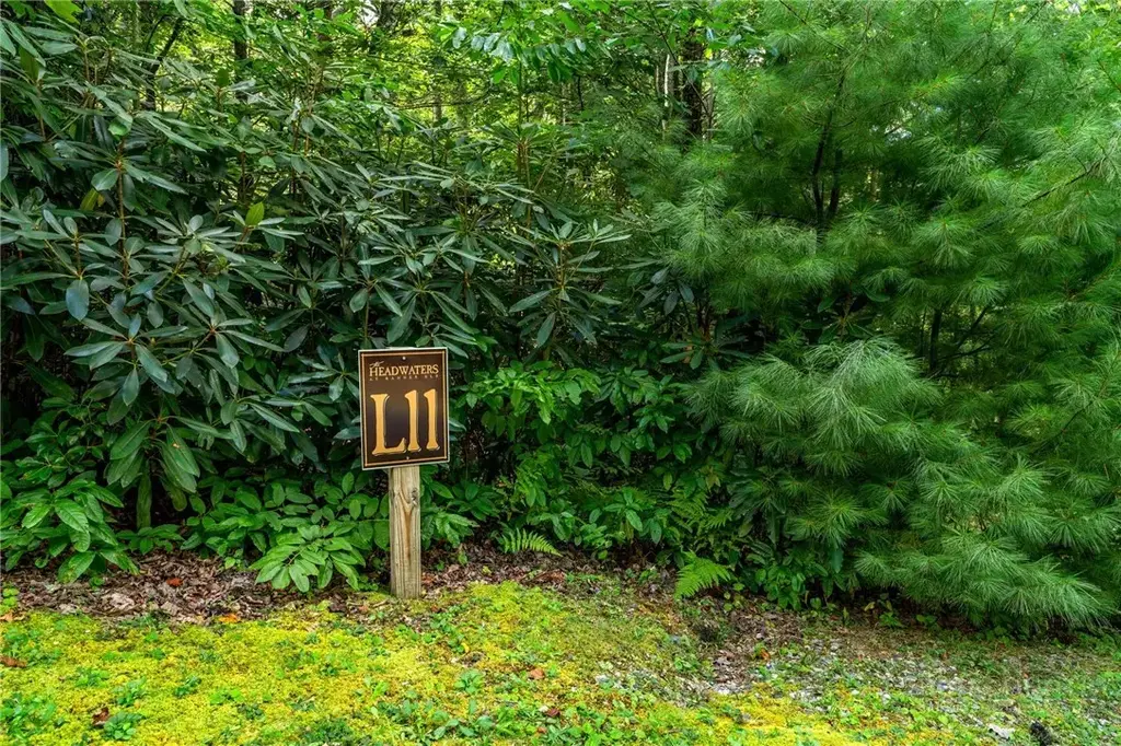 L11 Woodlake Loop, Elk Park