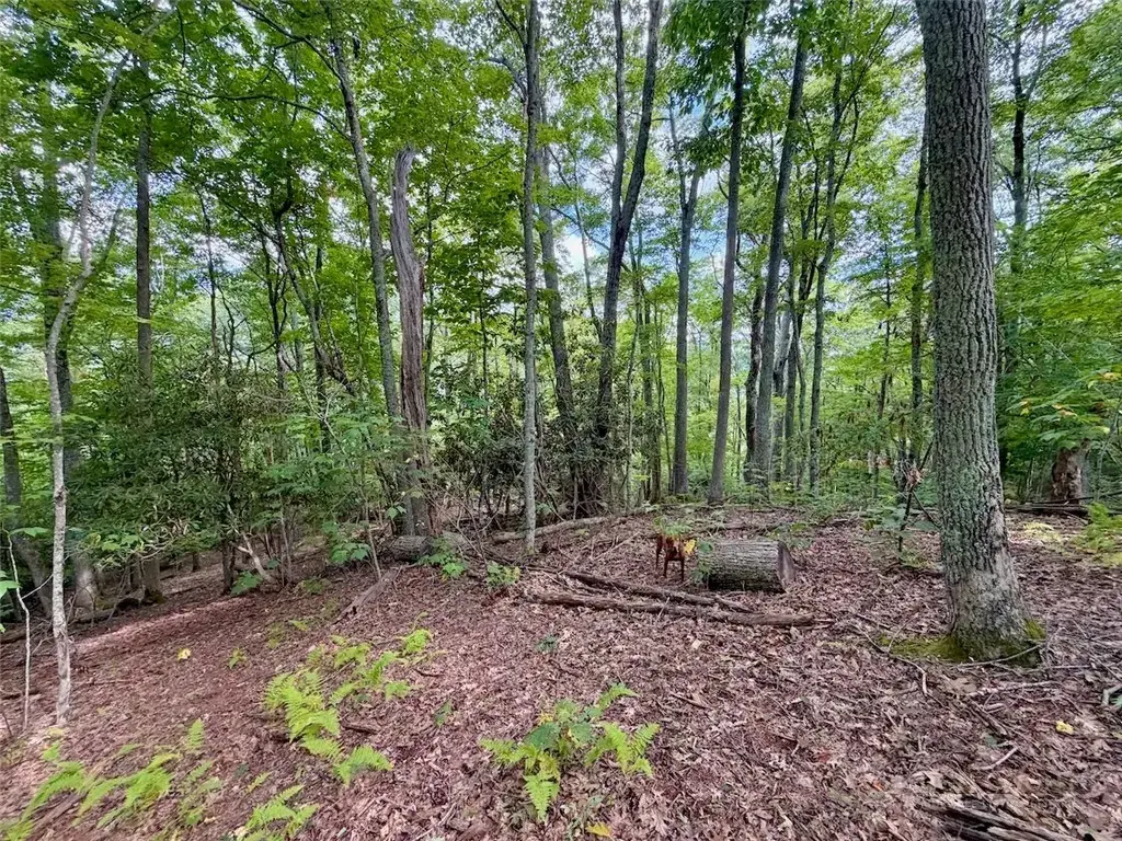 Tbd Galax Lane, Banner Elk