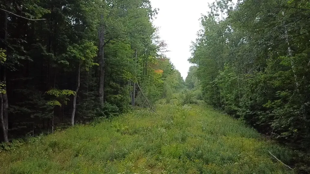 120 Acre Birch Rd, Crandon