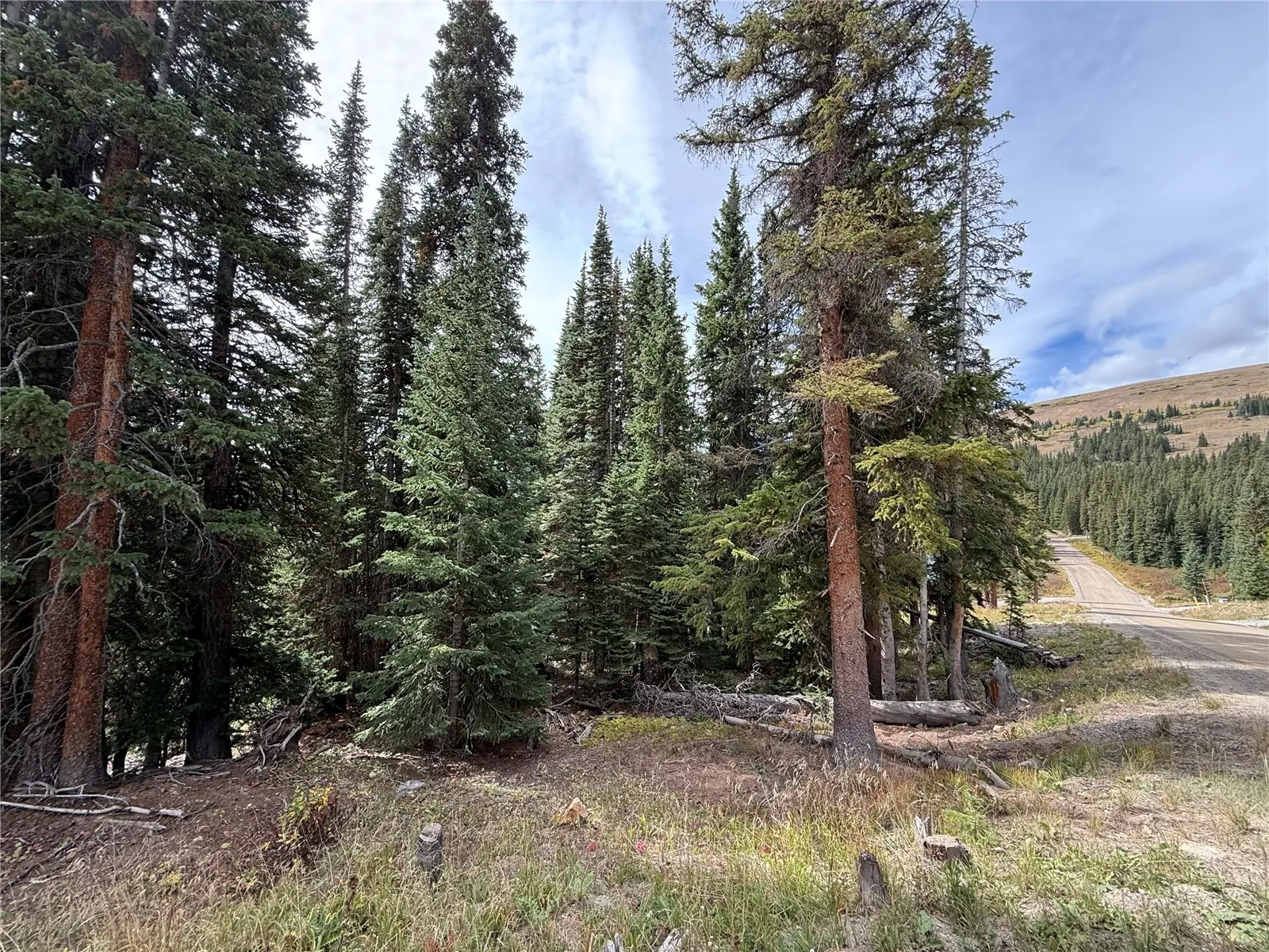244 Camron Lane, Breckenridge