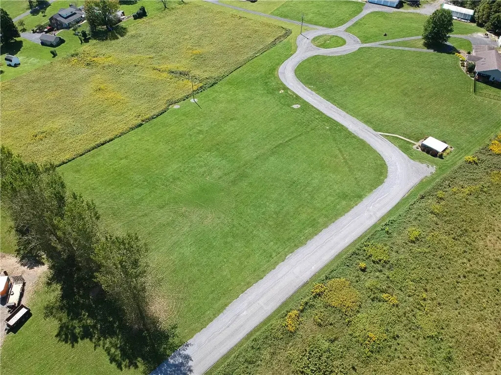 Paradise Drive , Wayne