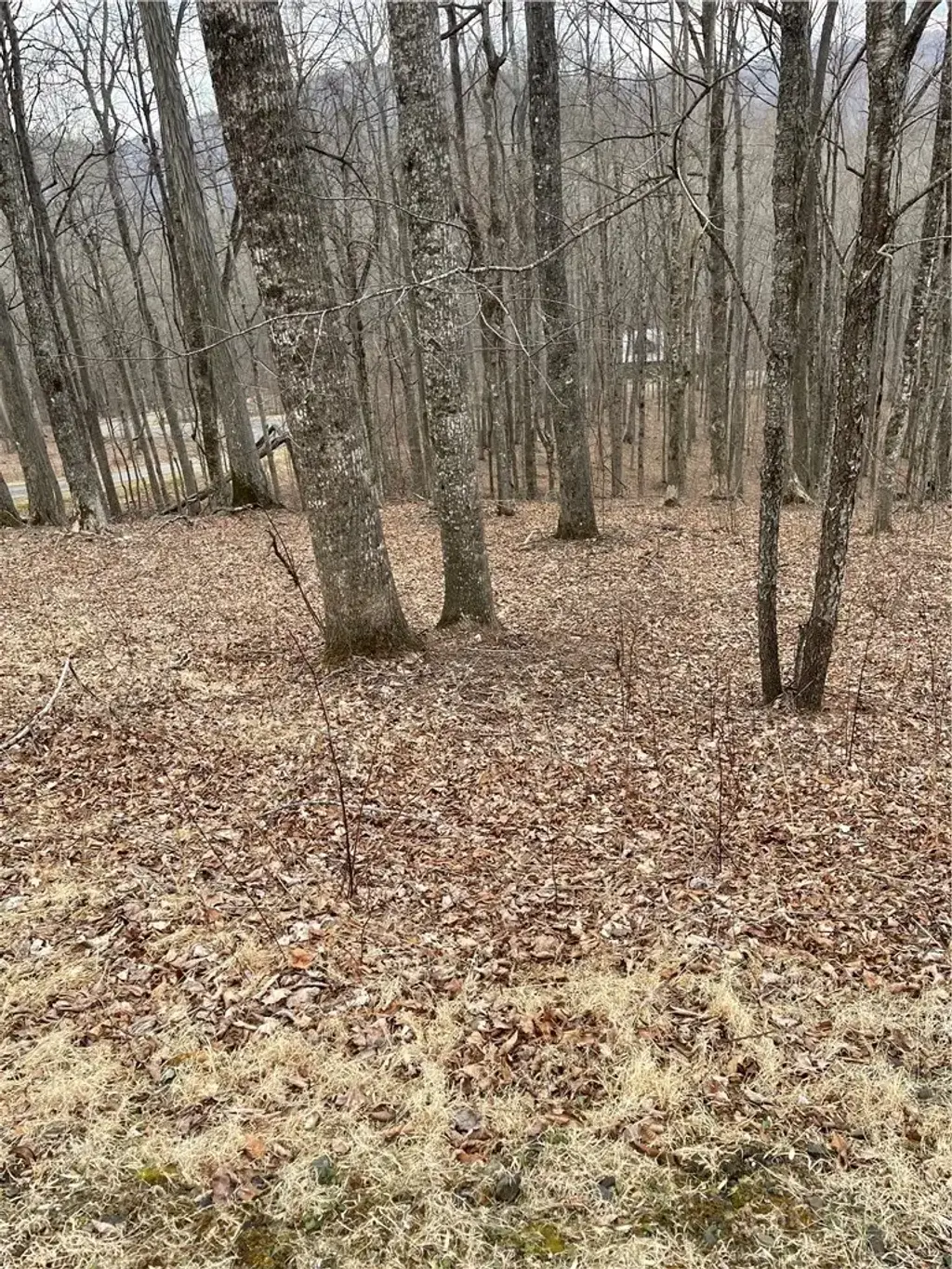 Lot #33 Elk Mountain Parkway, Todd