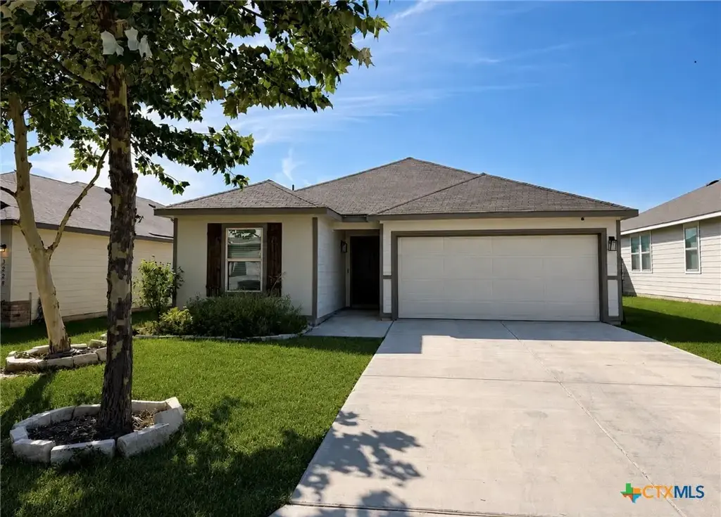 3224 Blue Lobelia, New Braunfels