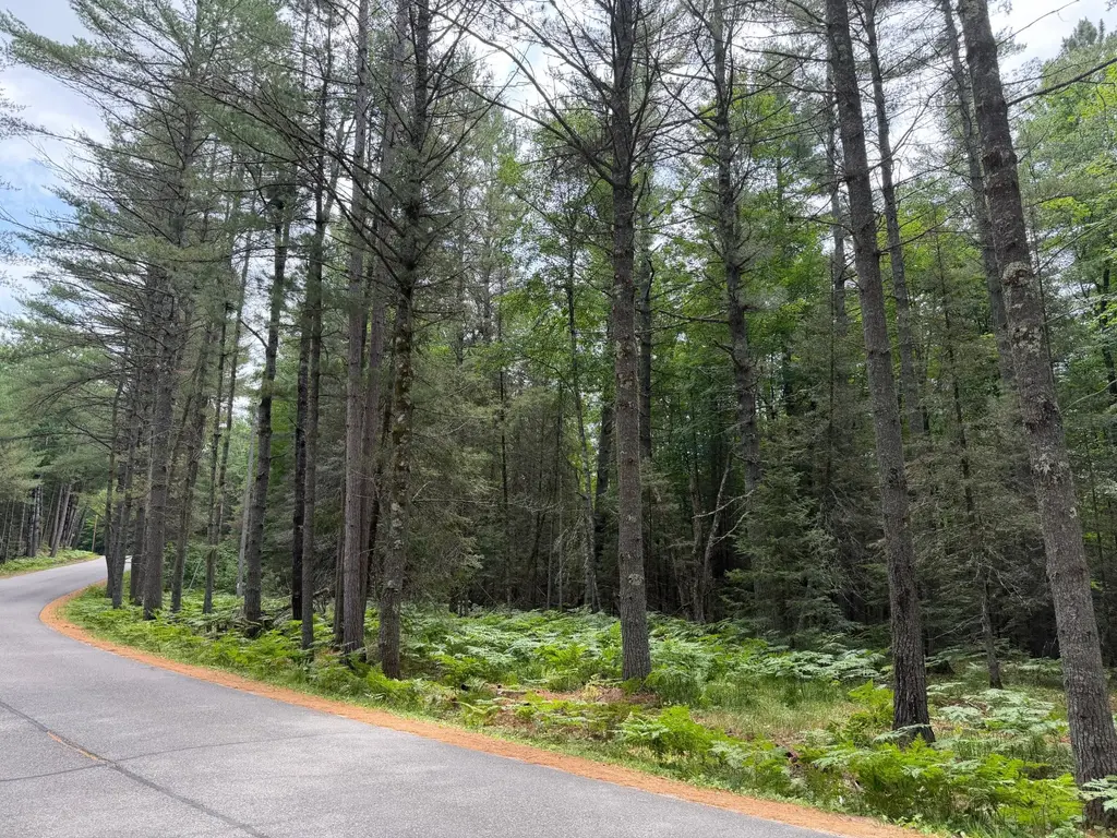 Lot 1 Watersmeet Lake Rd, Eagle River