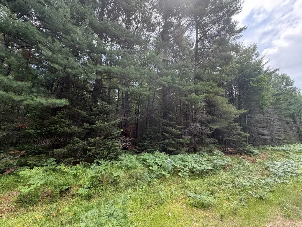 Lot 2 Watersmeet Lake Rd, Eagle River