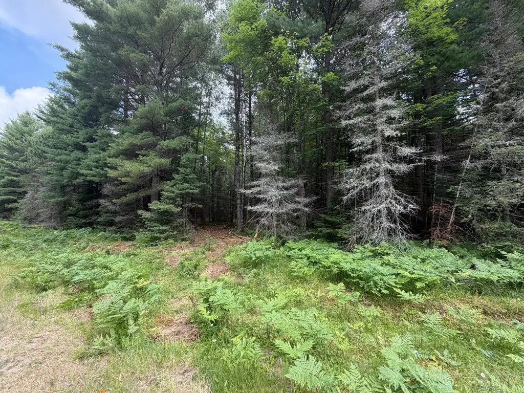 Lot 3 Watersmeet Lake Rd, Eagle River