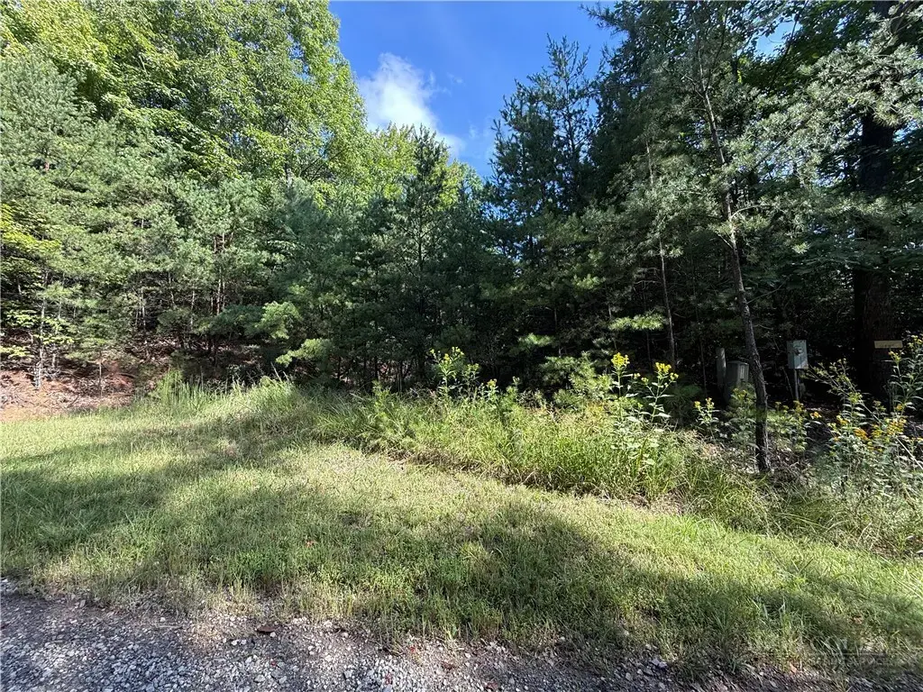 Lot 24 Wolf Pen Road, Purlear