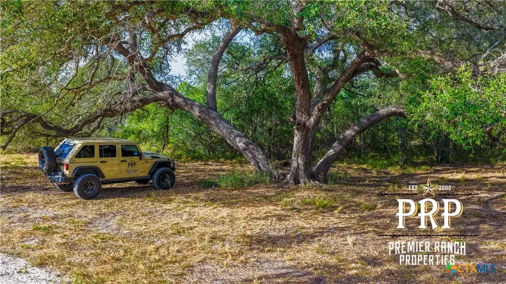 1776 Fm 1351, Goliad