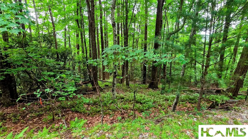 Lot 88 Black Oak Drive, Sapphire