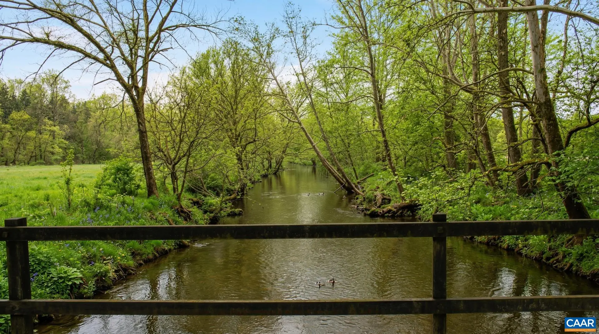 845 Raccoon Ridge, Scottsville