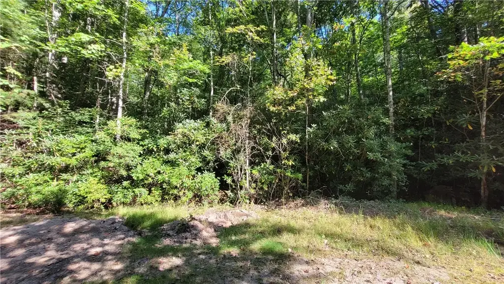 105 Chipmunk Lane, Beech Mountain