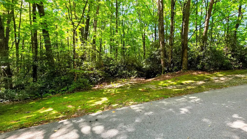 Lt 103 Black Oak Drive, Sapphire