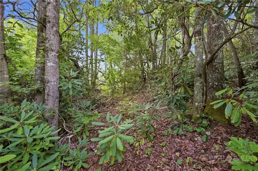 Tbd (lot 60) Raven Ridge Road, Banner Elk