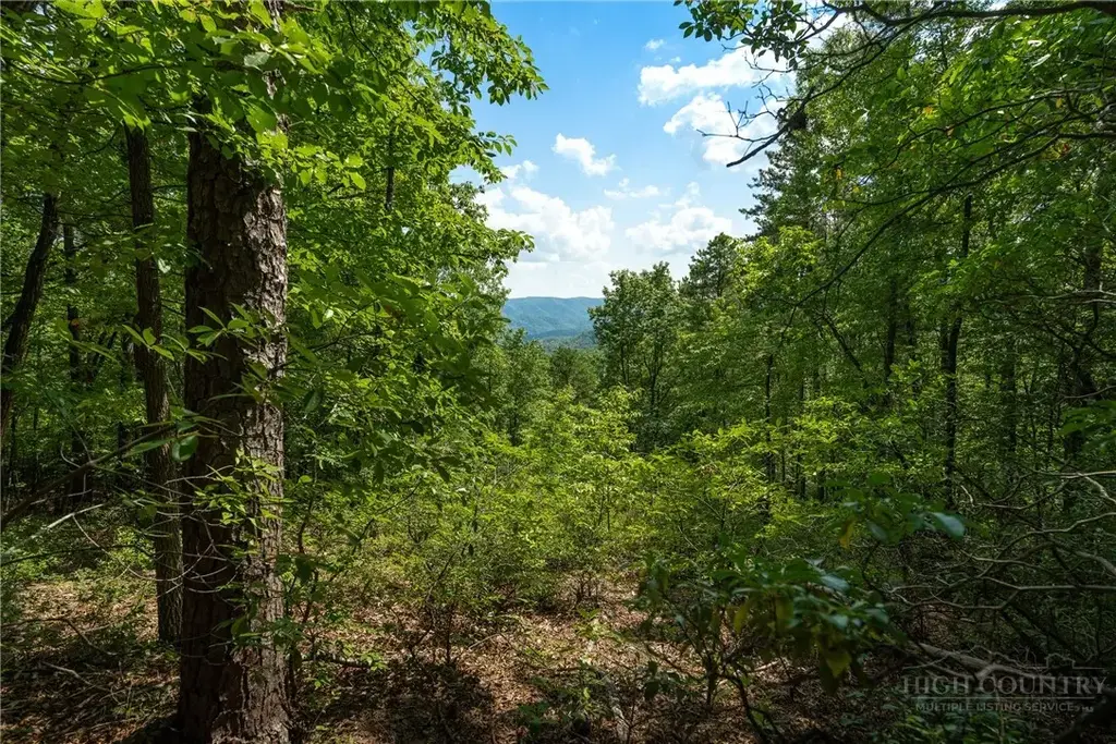 1303 Reynolds Parkway, Boone