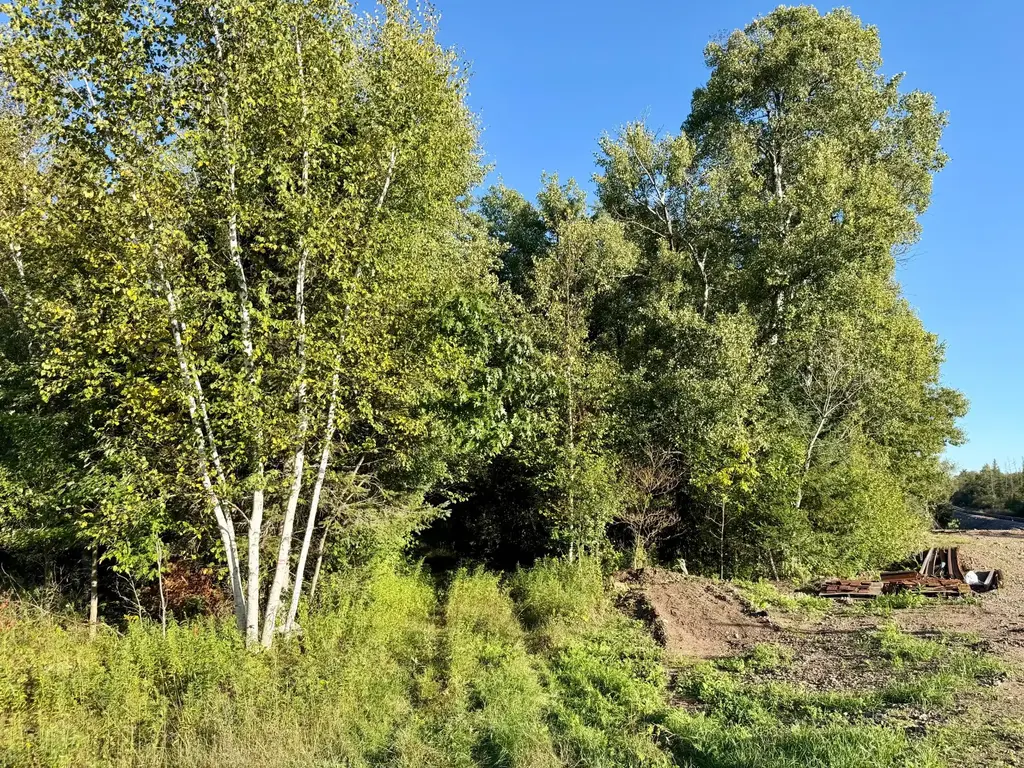 60ac On Hwy 107, Tomahawk