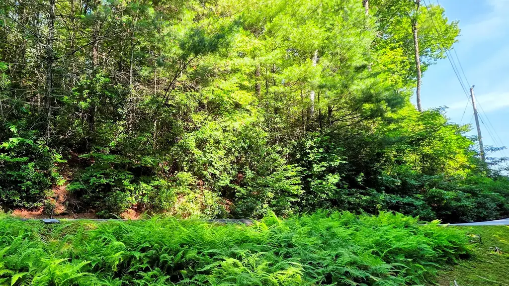 Lt 201 Wild Berry Court, Sapphire