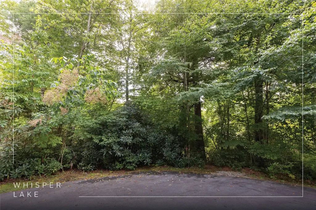 231r Pine Forest Court, Sapphire