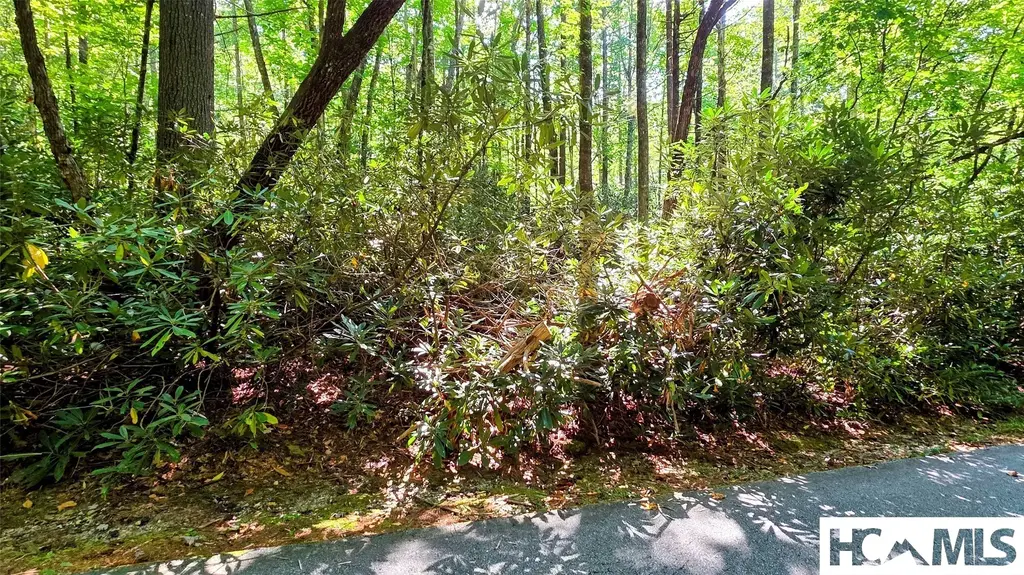 Lot 61 Black Oak Drive, Sapphire