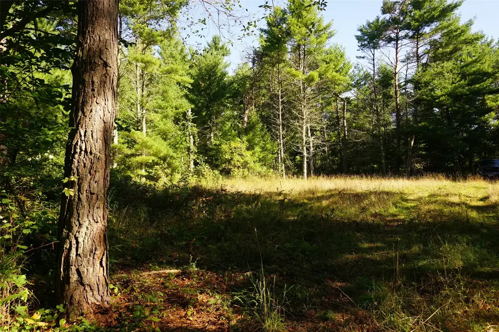 N9105 Flood -- Lot 5 Road, Black River Falls