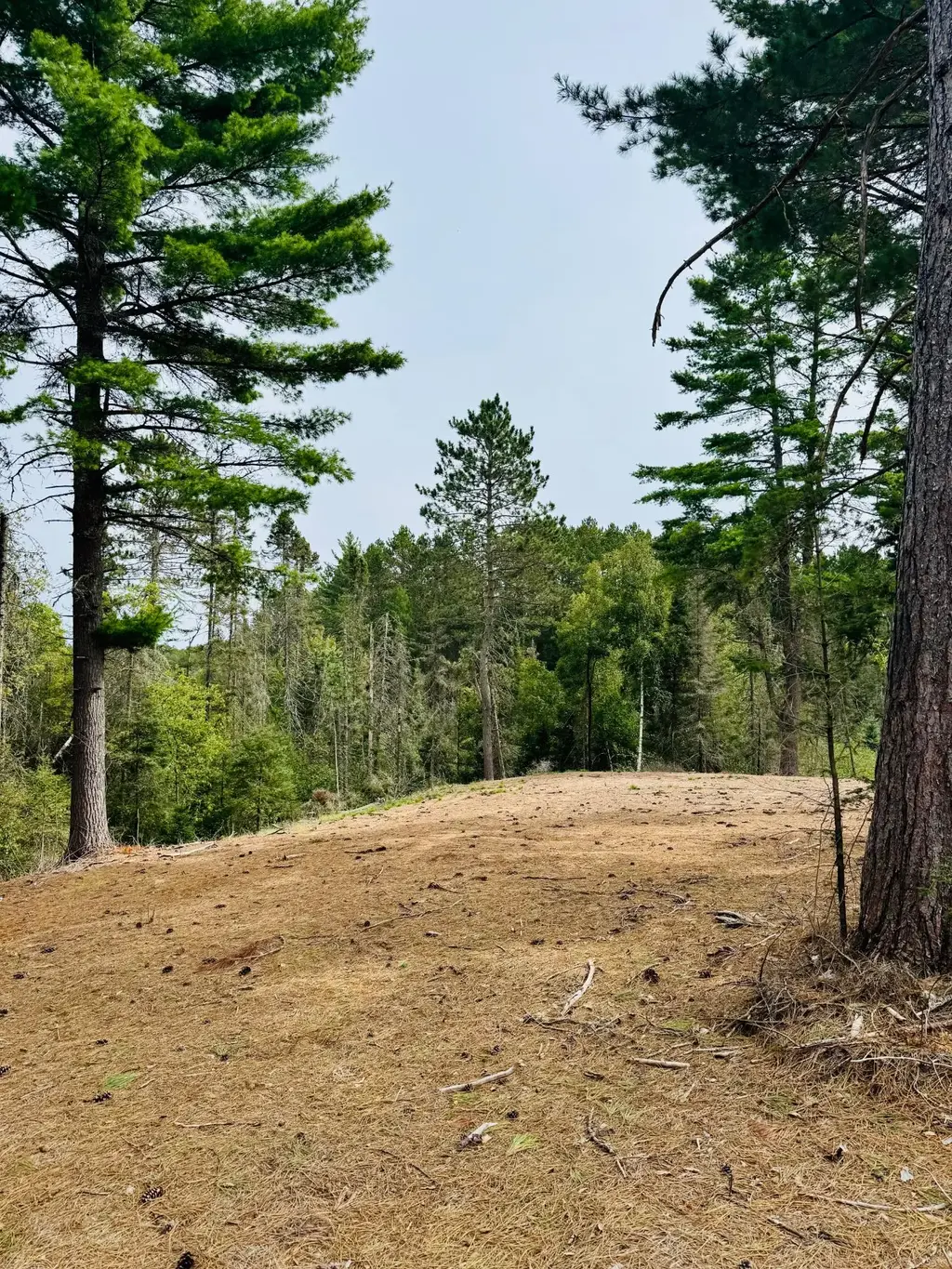 5179 Babcock Rd, Land O Lakes