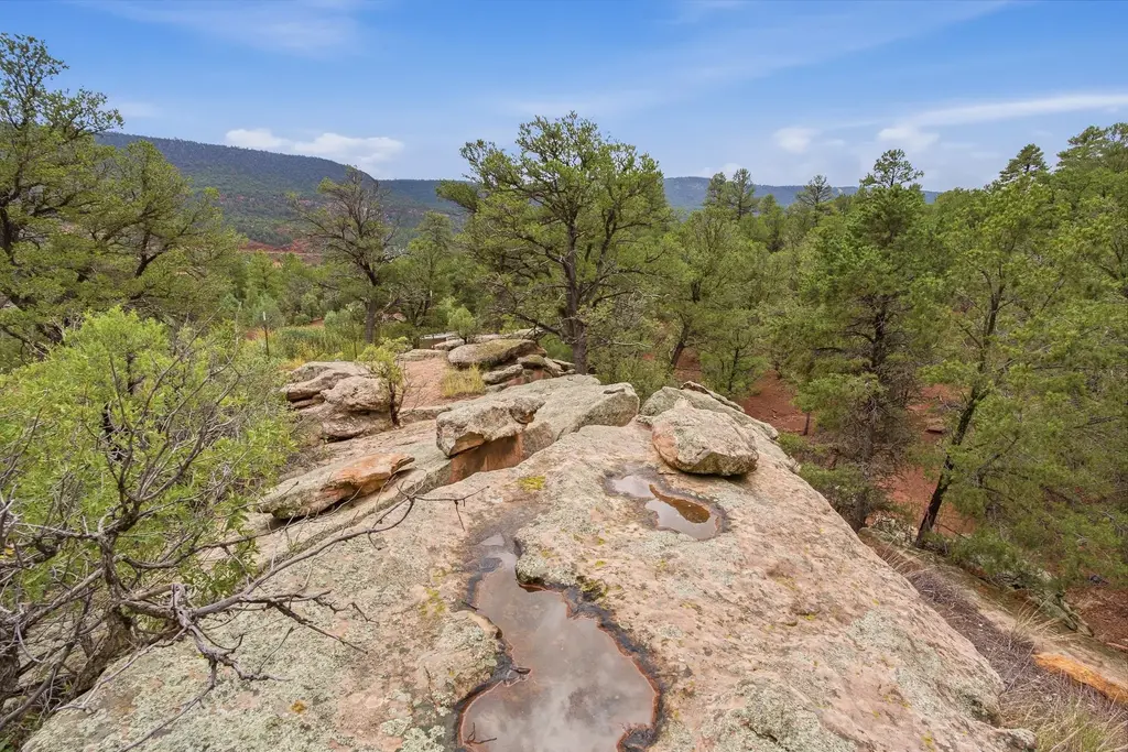 19 Bear Ridge, Glorieta