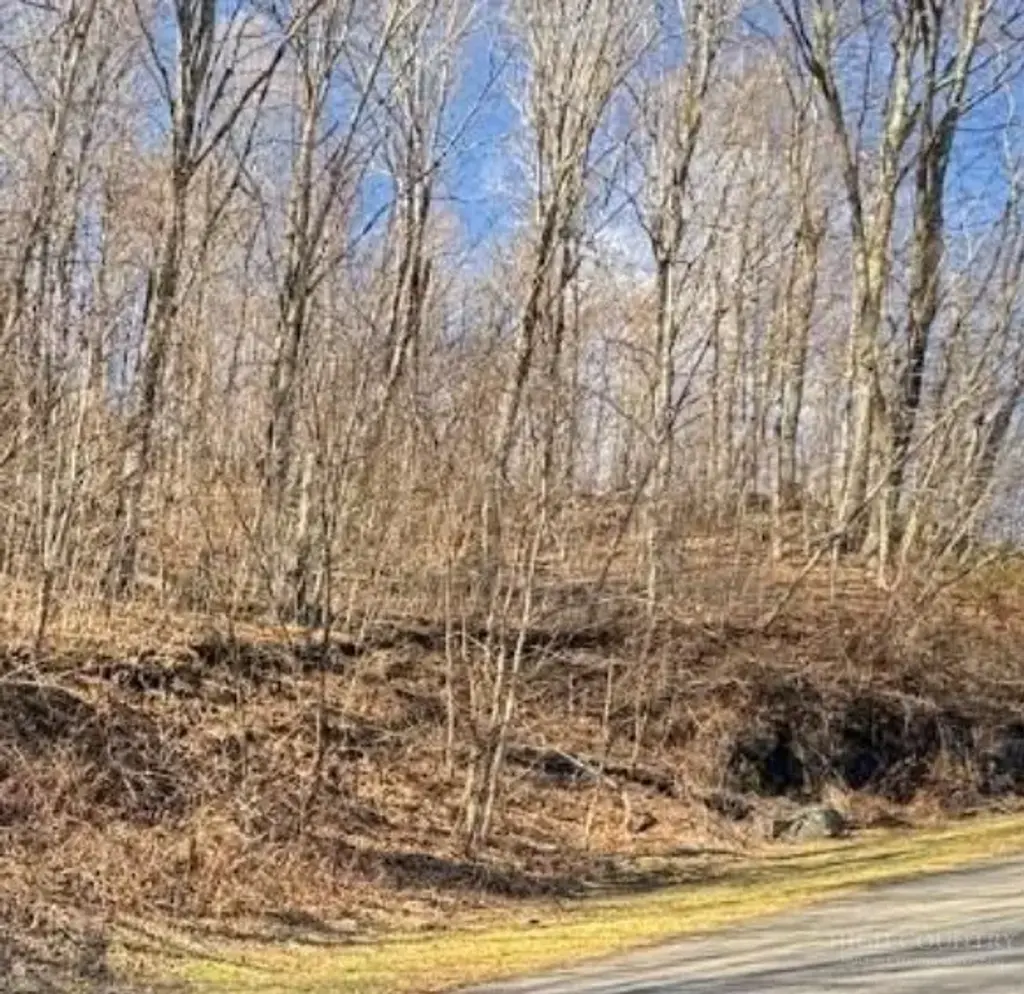 Lot 32 Jewel Weed Trail, Newland