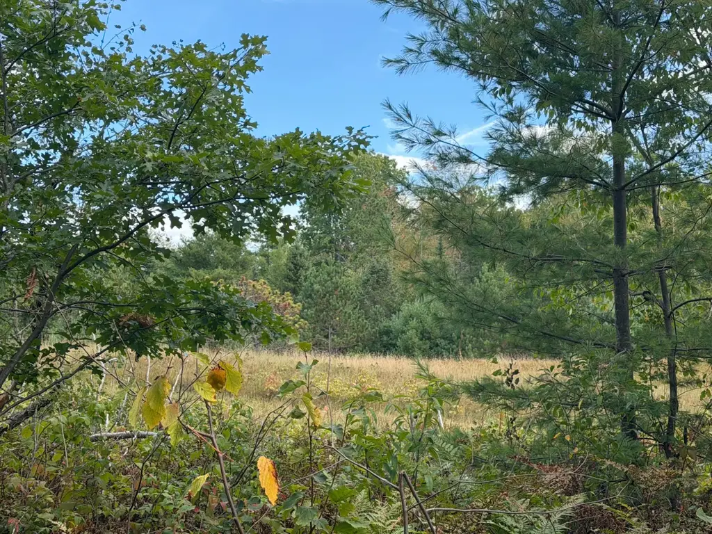 Lot 7 Cator Dr, Minocqua