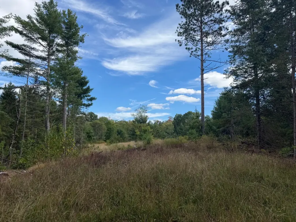 Lot 8 Cator Dr, Minocqua