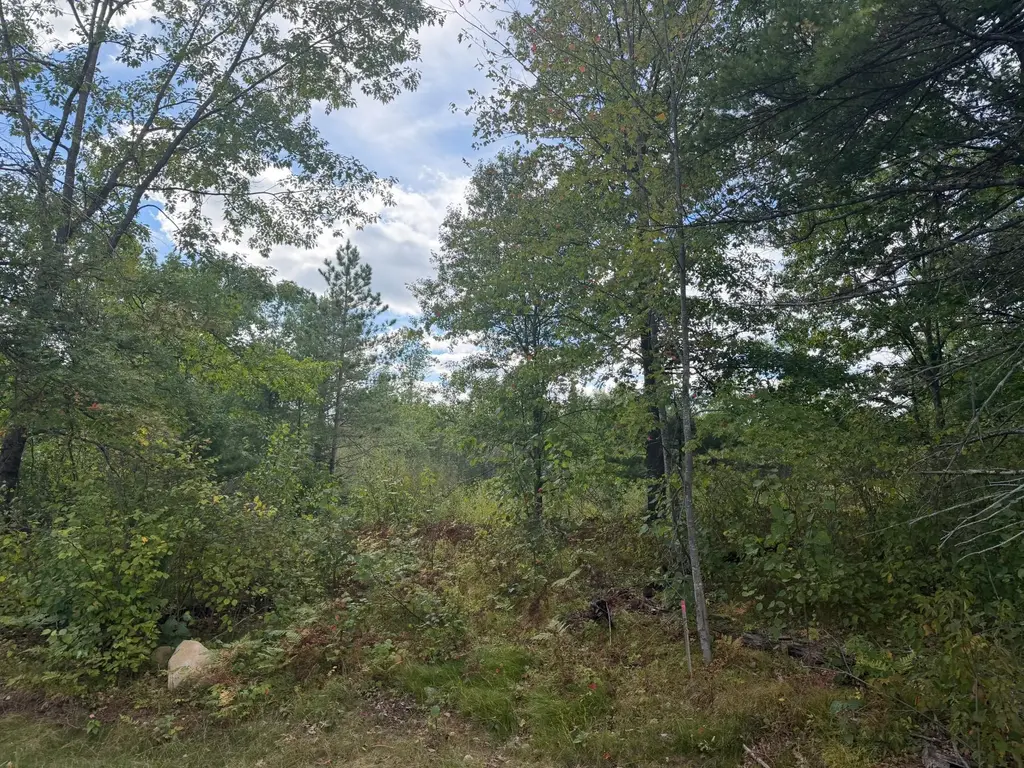 Lot 9 Cator Dr, Minocqua