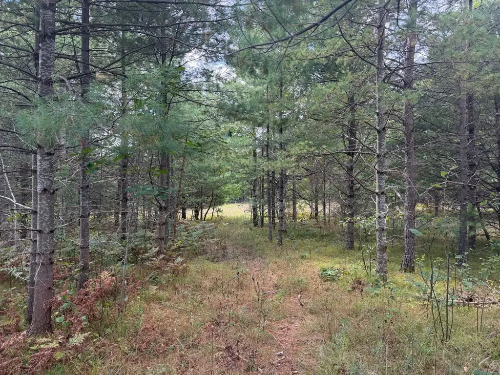 Lot 10 Cator Dr, Minocqua