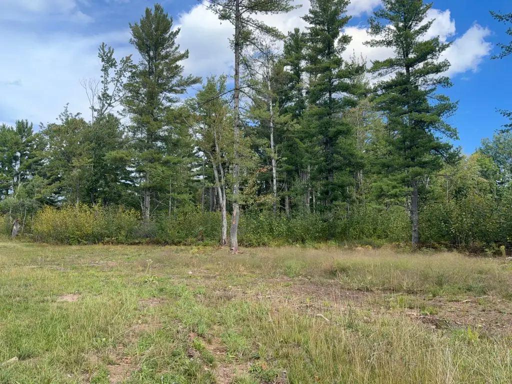 Lot 1 Cator Dr, Minocqua
