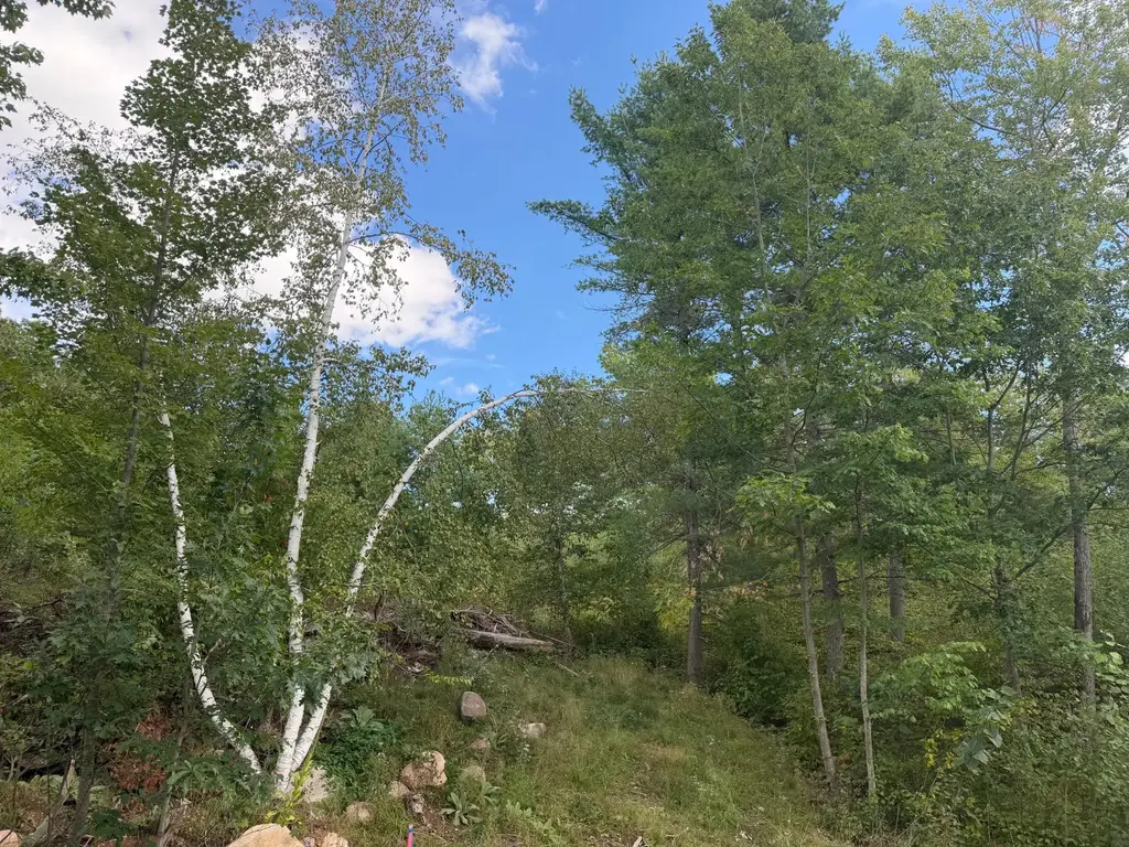 Lot 2 Cator Dr, Minocqua