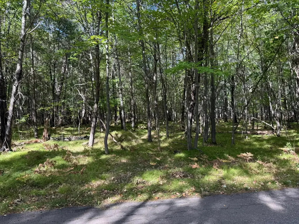 Lot On Riverview Dr, St Germain