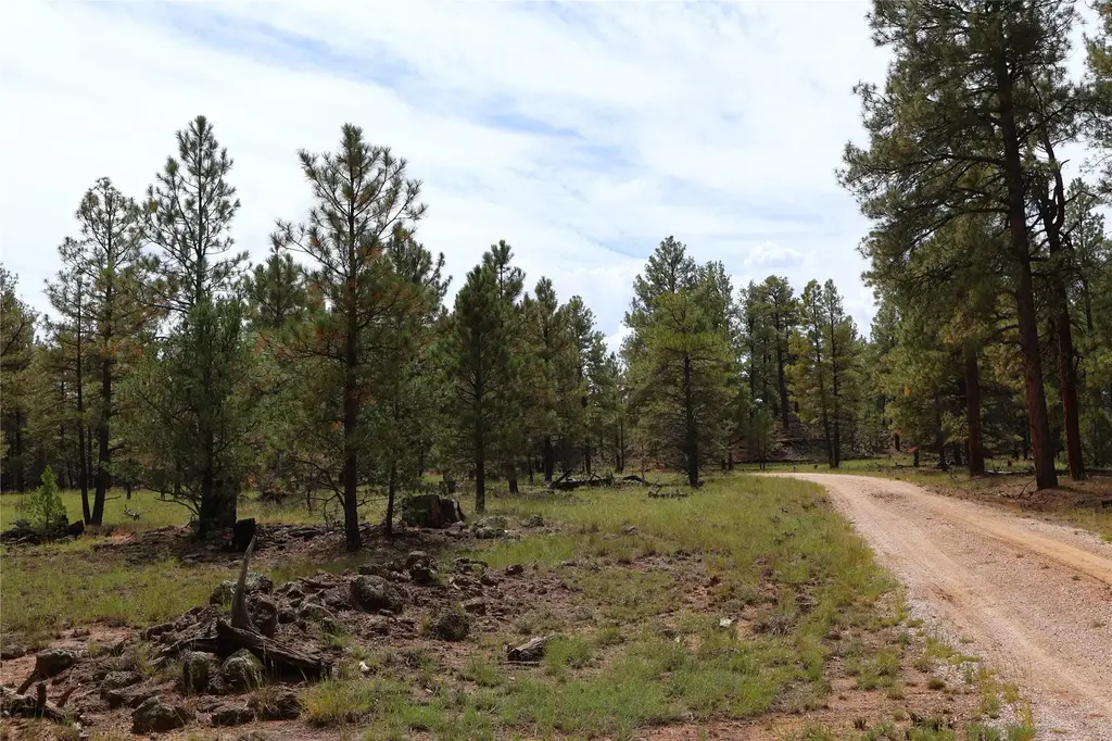Lot 44 Rhyolite Road, Grants