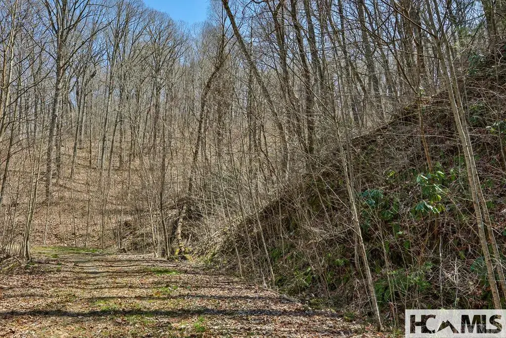 Tbd Bearwood Dr., Cullowhee