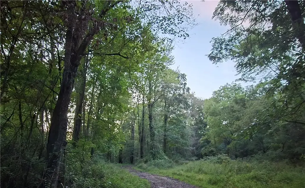 Lot 2 Taggert Road Crolls Mill Road , West Liberty Boro