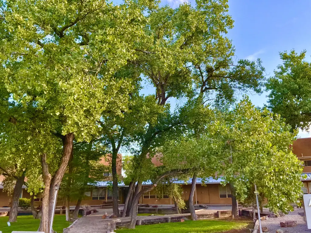 230 Cynthia Court Nw A, Albuquerque