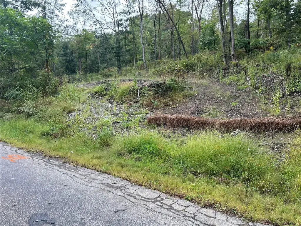 Norwood Drive, Big Beaver