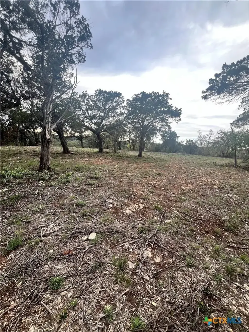 19705 Tyler Trail, Leander