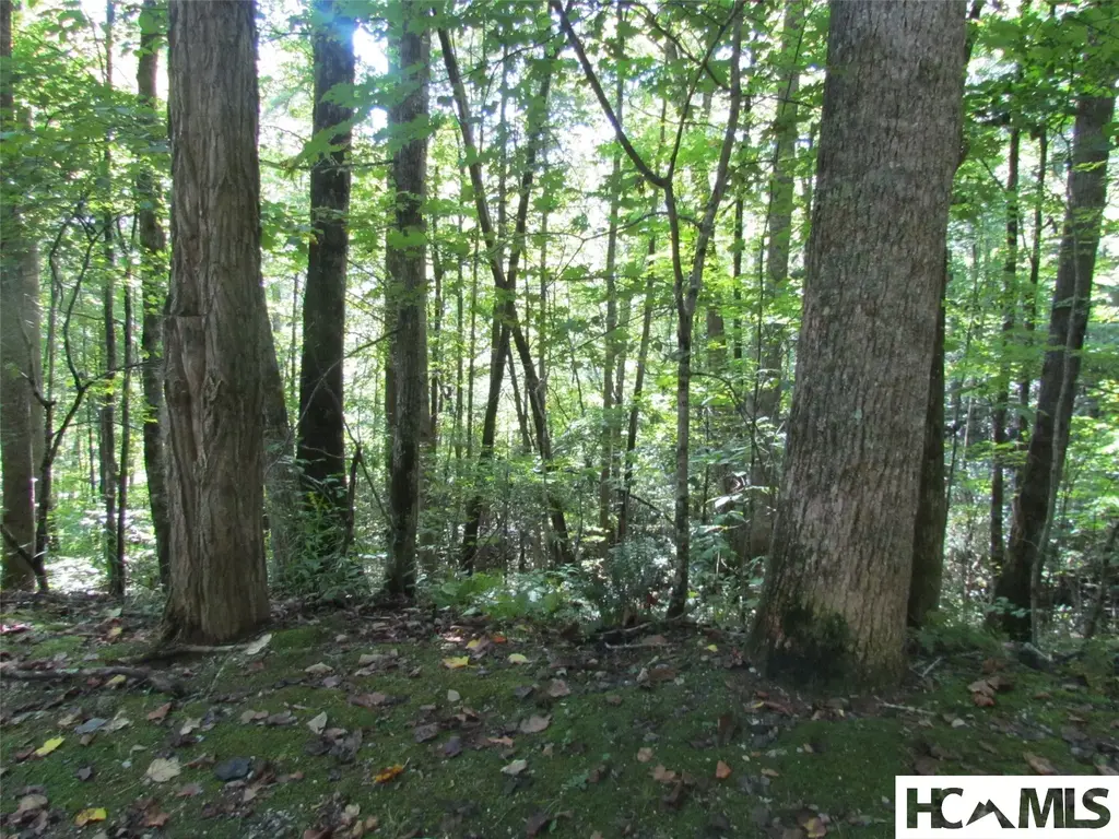 Wayfaring Road, Cashiers