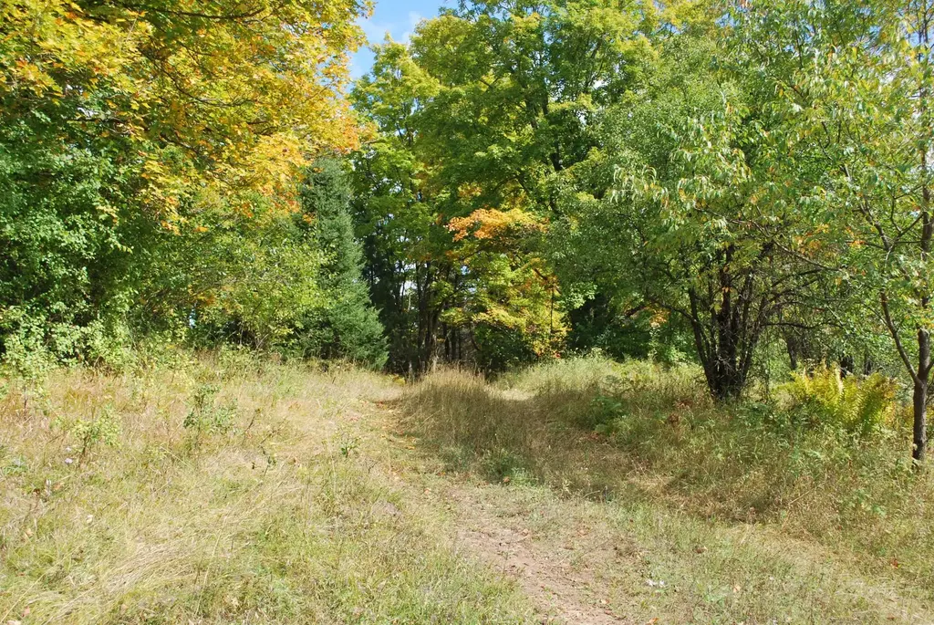 On Smith Ln, Laona