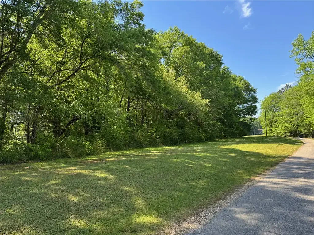 Lot 3 Us Hwy 29, Opelika