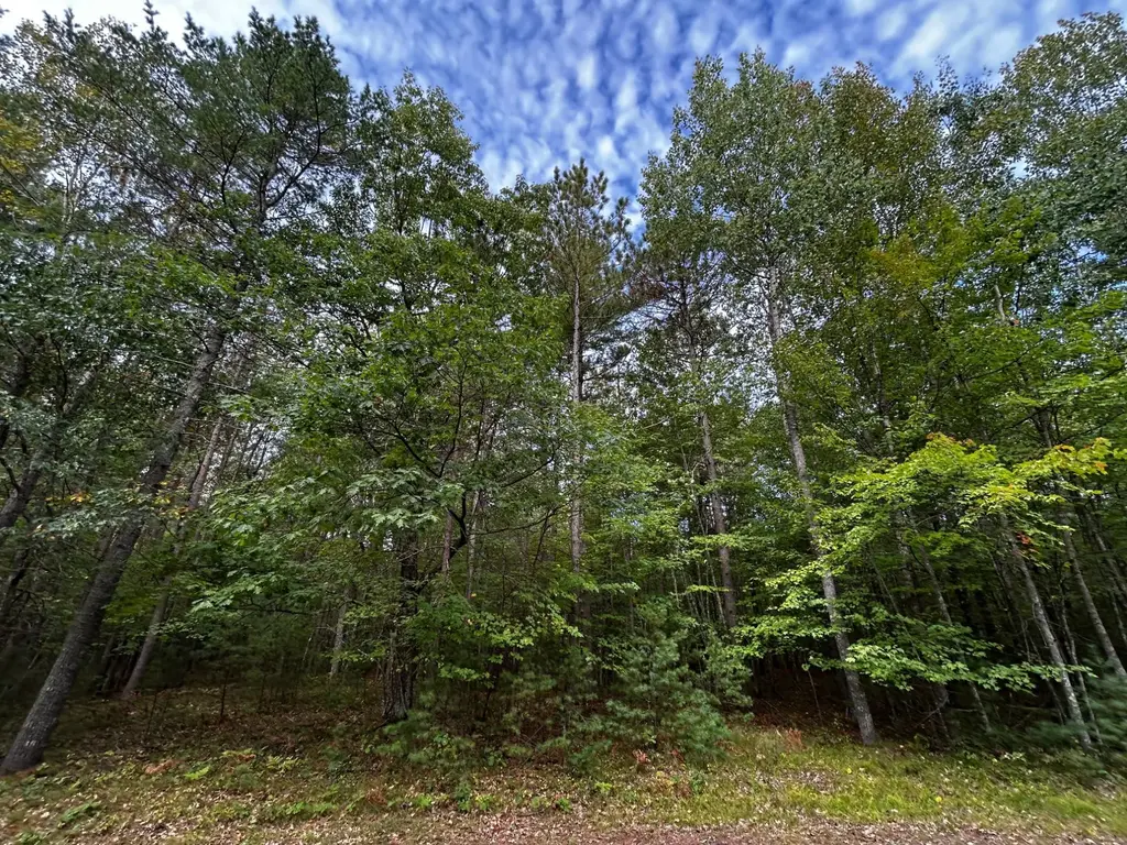 Lot 39 Peggy Ln, Minocqua